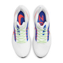 Nike Air Zoom Pegasus 39 White Racer Blue Crimson DX3354-100