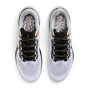 Nike Air Zoom Pegasus 41 Light Smoke Grey Metallic Gold HQ3220-100