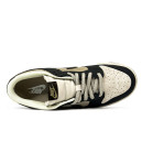 Nike SB Dunk Low Blue Beige Brown