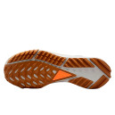 Nike React Pegasus Trail 4 Gore-Tex Anthracite Ale Brown FD5841-001