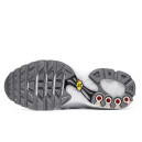 Nike Air Max TN Plus Triple White