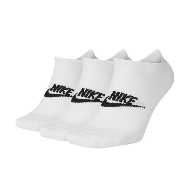 Шкарпетки Nike EVERYDAY ESSENTIAL NS DX5075-100