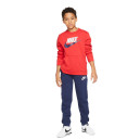 Штаны Nike NSW CLUB FLC JOGGER PANT CI2911-410