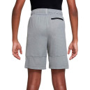 Шорти Nike NK POLY+ SHORT DO7093-091