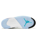 Jordan 5 Retro Grape HQ7978-100
