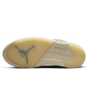 Jordan 5 Retro Low Expression DA8016-100