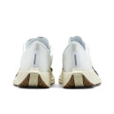 Nike Pegasus Plus Sail Orewood Anthracit FQ7262-100