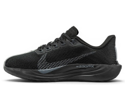 Zoom Pegasus