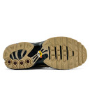 Nike Air Max Plus Wheatgrass DZ4501-700