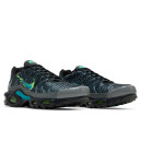 Nike Air Max Plus Champions League DJ6896-070