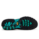 Nike Air Max Plus Light Retro DM0032-401