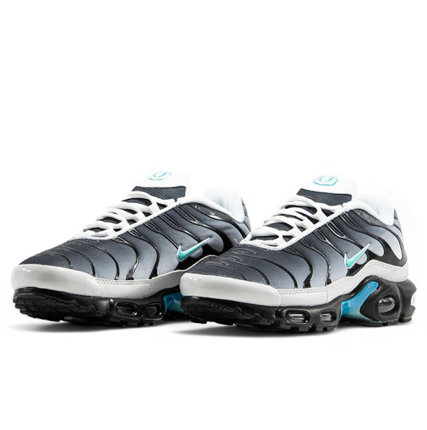Nike Air Max TN Plus Blue Grey