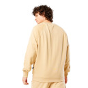 Світшот Nike AIR FT HOODIE DV9829-252