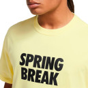 Футболка Nike NK SB TEE SPRING BREAK DX9457-706