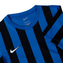 Футболка Nike NK DF STRP DVSN IV JSY SS CW3816-463