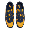 Nike Terminator Low Michigan FJ4206-700