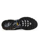 Nike Air Max Plus Iron Grey DZ2655-001