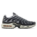Nike Air Max Plus Iron Grey DZ2655-001