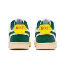 Nike Court Vision Low Sail Pro Green FD0320-133