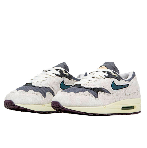 Nike Air Max 1 Protection Pack