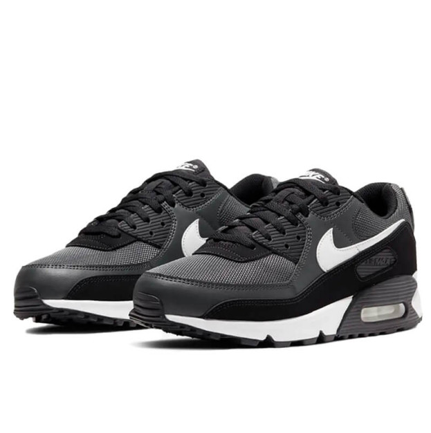 Nike Air Max 90 Iron Grey CN8490-002