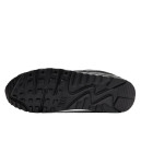 Nike Air Max 90 Iron Grey CN8490-002