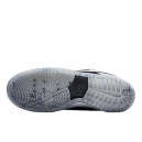 Nike Dunk SB Low Atlas 35MM Grey 504750-020