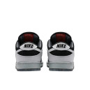 Nike Dunk SB Low Atlas 35MM Grey 504750-020