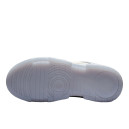 Nike Dunk Low Disrupt Summit White Ghost DJ3077-100