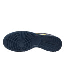 Nike Dunk Low Michigan DD1391-700
