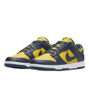 Nike Dunk Low Michigan DD1391-700